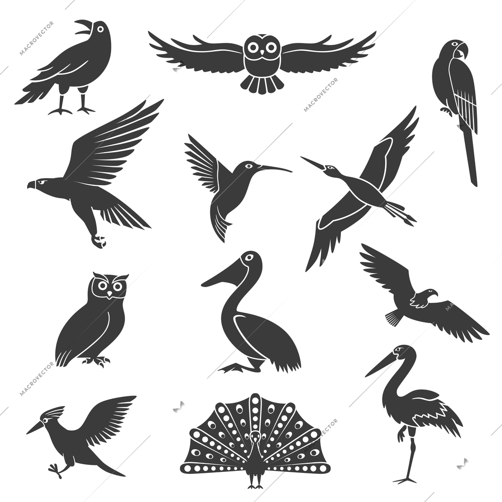 Stylized wild and exotic birds silhouettes black icons collection with pelican soaring eagle and peacock isolated vector illustration