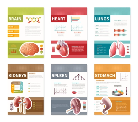Small colorful internal human organs with description banners isolated on white background flat vector illustration
