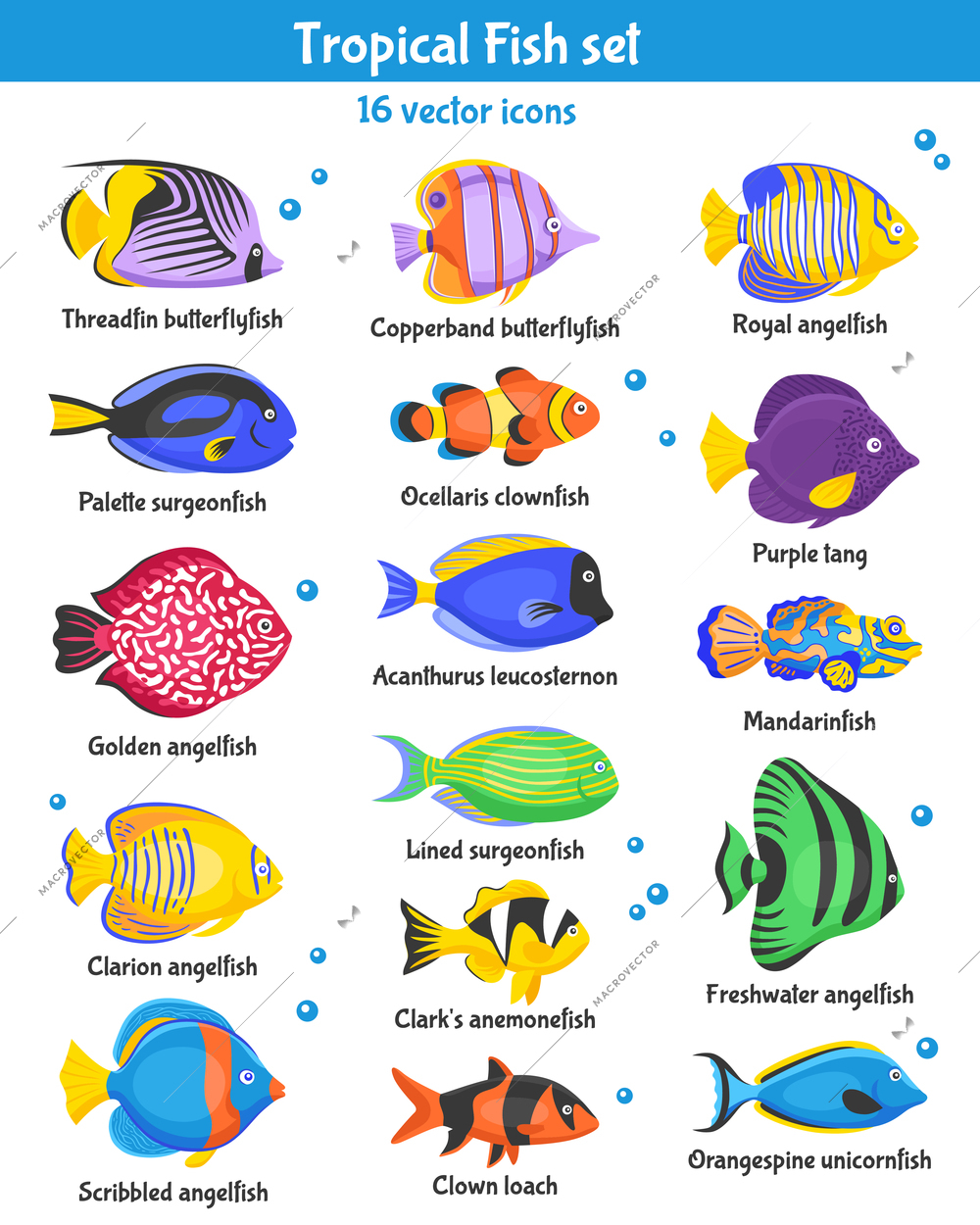 Exotic tropical fish icons set with fish species flat isolated vector illustration