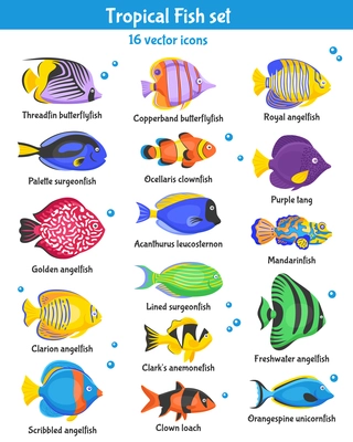 Exotic tropical fish icons set with fish species flat isolated vector illustration