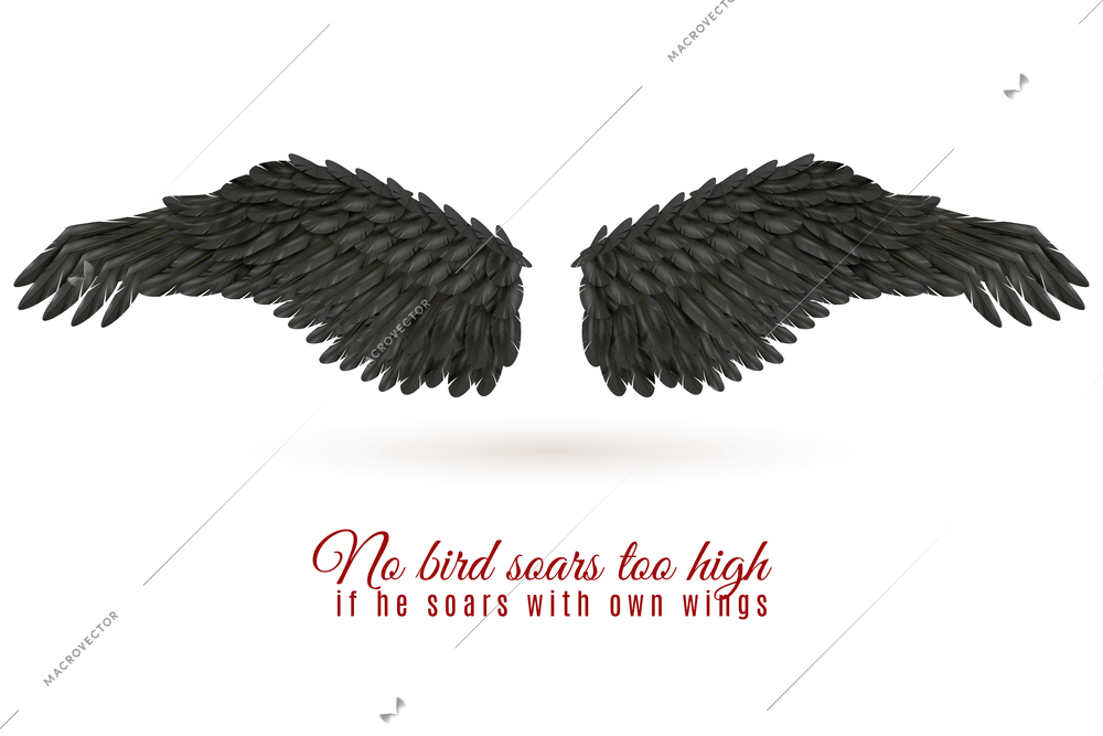 Pair of big dark bird wings on white background with shadow and quotation realistic vector illustration