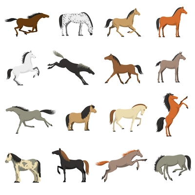 Best horses breeds icons collection for work sport and entertainment with shetland pony abstract isolated vector illustration