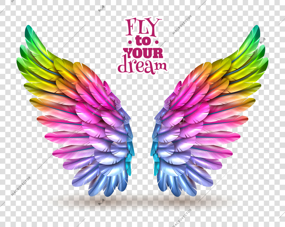 Pair of colorful bird wings set isolated on transparent background with shadow flat vector illustration