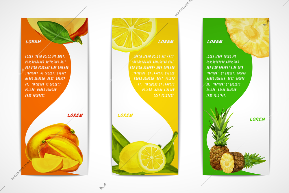 Natural organic tropical fruits vertical banners set of mango lemon pineapple design template vector illustration