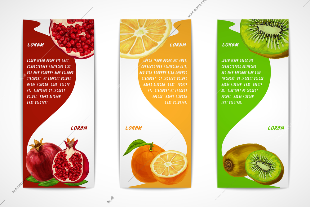 Natural organic tropical fruits vertical banners set of pomegranate orange kiwi design template vector illustration