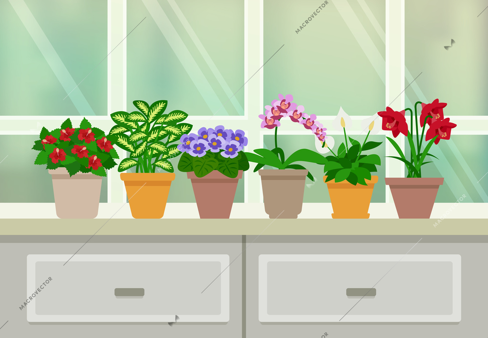 Houseplants and flowers in blossom background with window and drawers flat vector illustration