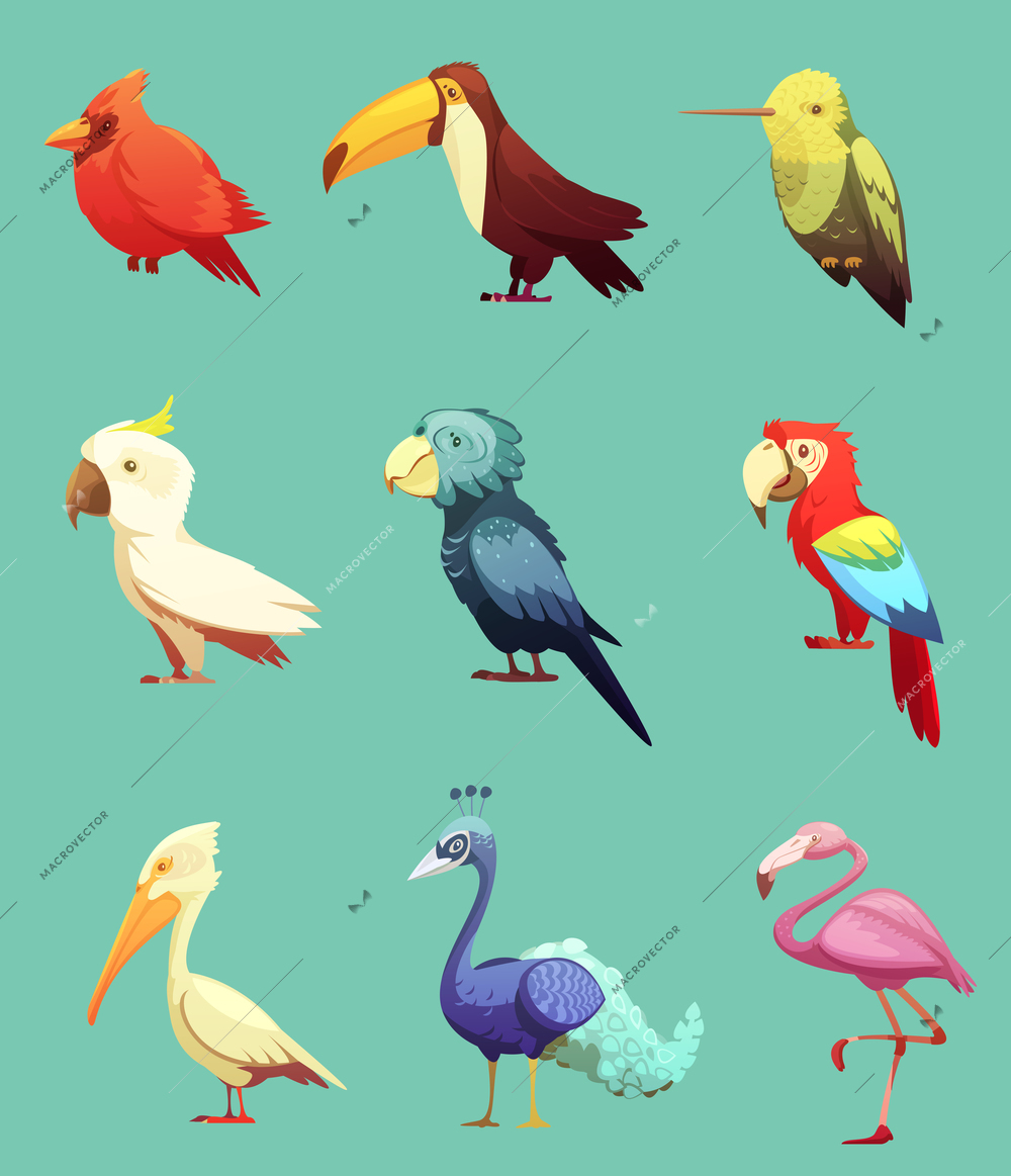 Exotic tropical paradise island birds retro cartoon style icons collection with toucan and cockatoo parrot isolate vector illustration