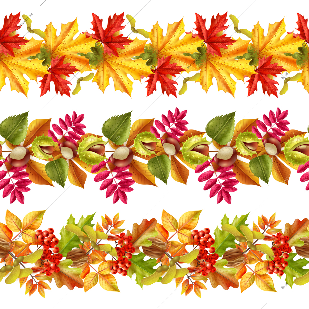 Seamless borders with bright autumn leaves chestnuts and rowan on white background flat vector illustration