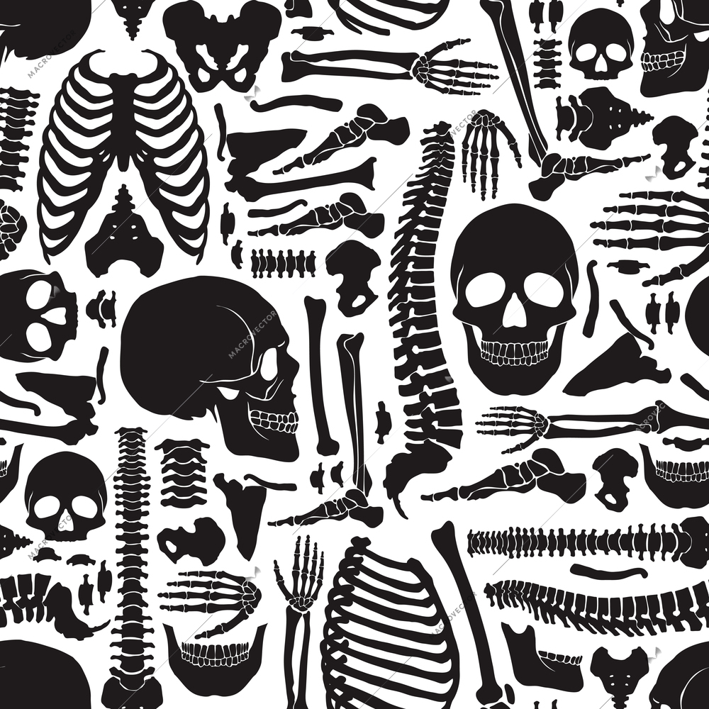 Monochrome human skeleton seamless pattern with big skulls and various single bones flat vector illustration