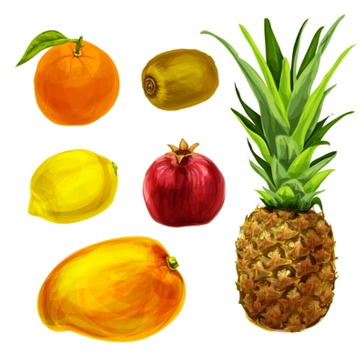 Collection of fresh tropical organic fruits orange kiwi pineapple pomegranate lemon mango isolated vector illustration