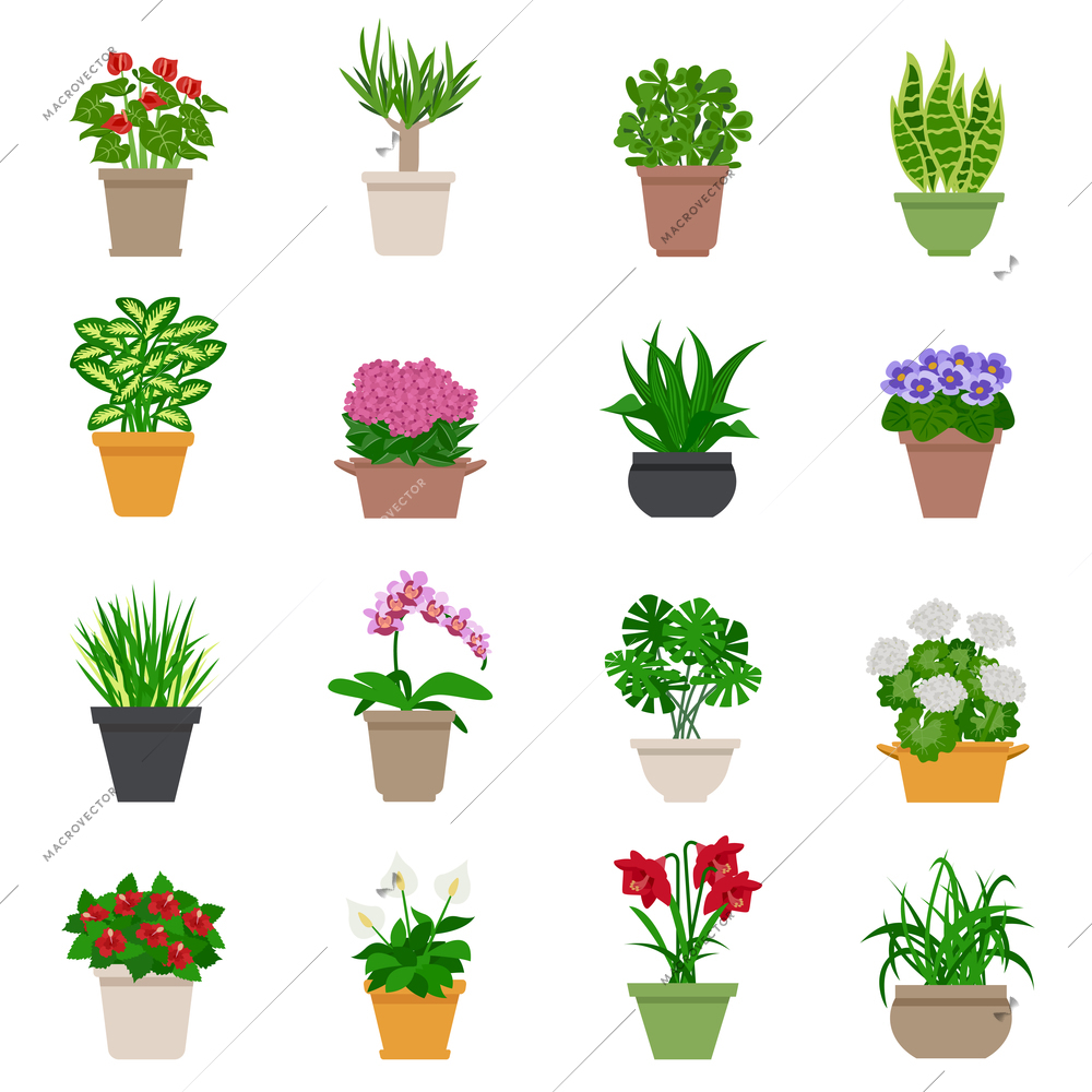 Houseplant icons set with plants and flowers flat isolated vector illustration