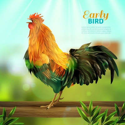 Colorful vector illustration of yellow rooster with green tail feathers at village elements background flat vector illustration