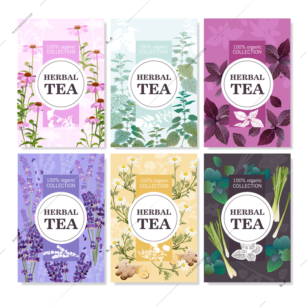 Collection of spices and meadow flowers for organic tea colored cards with title vector illustration