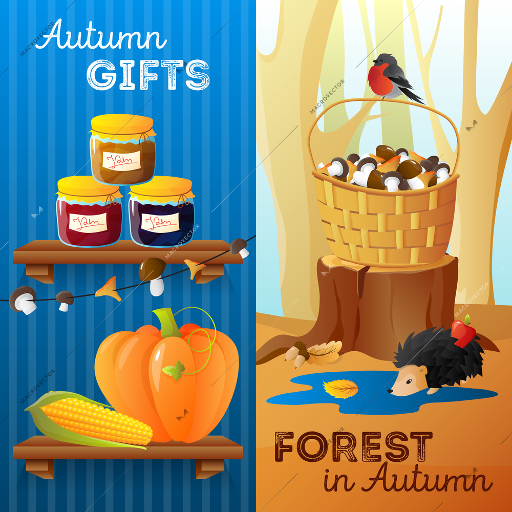 Flat design vertical autumn banners with seasonal vegetables jam mushrooms and forest animals isolated vector illustration