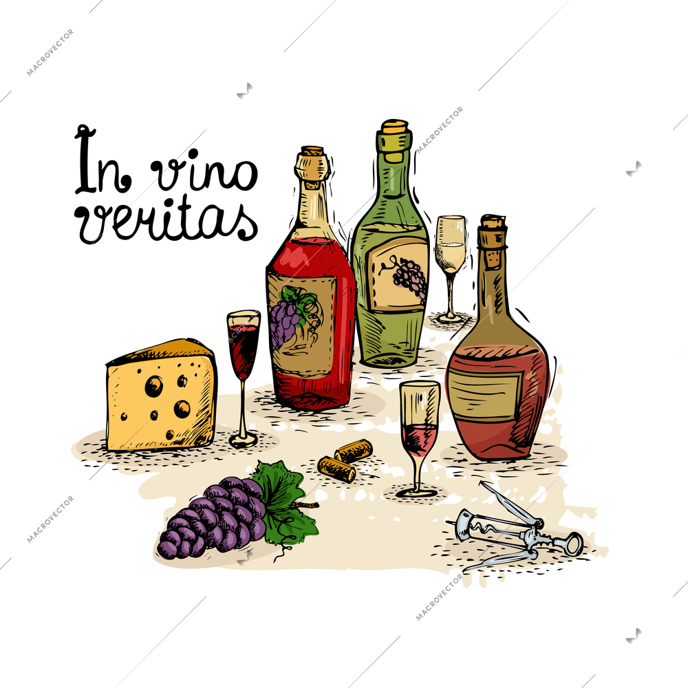 In vino veritas, wine still life isolated vector illustration