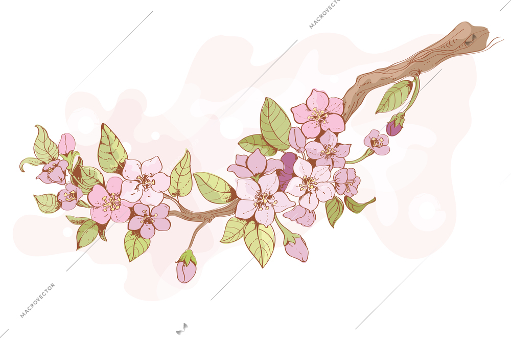 Blooming sakura tree branch wallpaper with flowers blossoms and pink reflection vector illustration