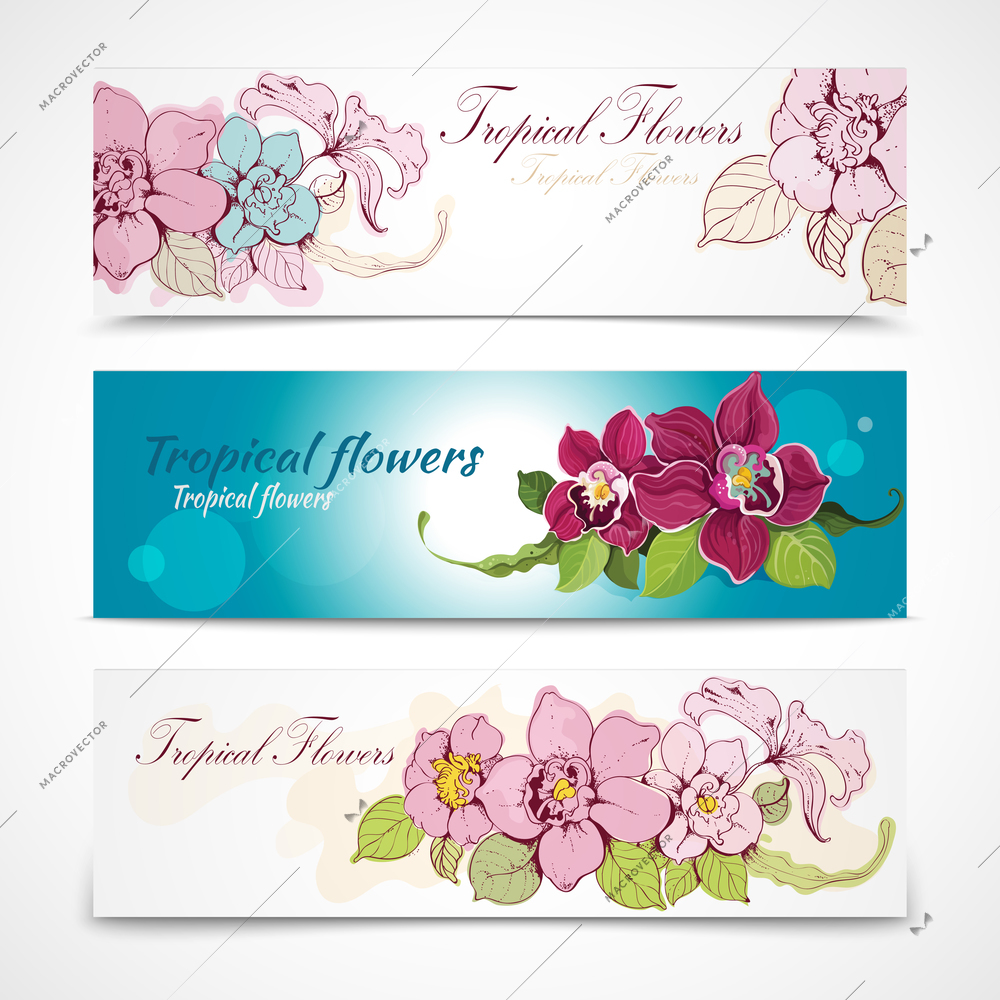 Colorful tropical hand drawn and sketch exotic flower decorative banners isolated vector illustration