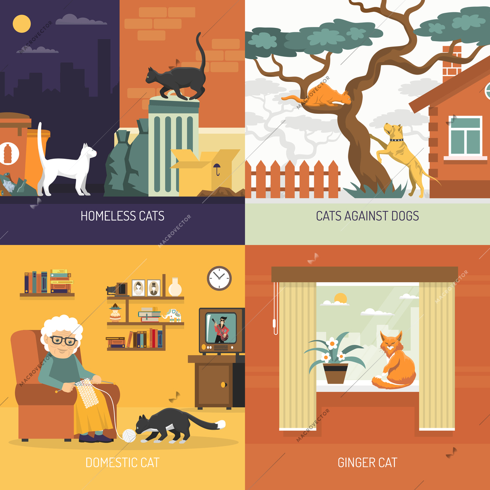 Breed cats 2x2 design concept with homeless characters outdoors and domestic pets in home interior flat vector illustration