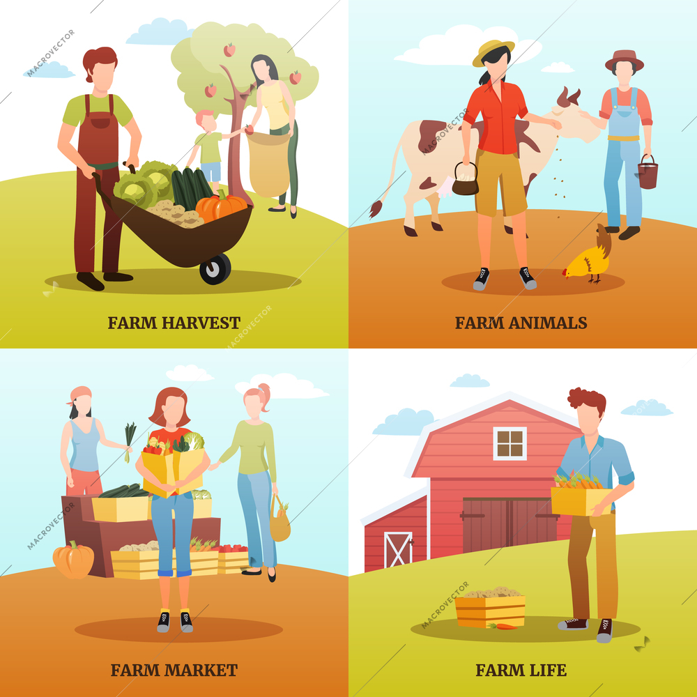 Flat design 2x2 design concept with families living and working on farm during autumn harvest time isolated vector illustration