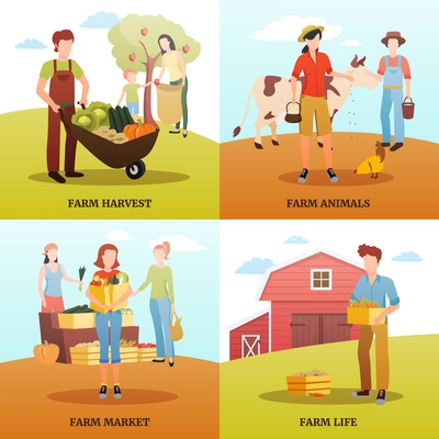 Flat design 2x2 design concept with families living and working on farm during autumn harvest time isolated vector illustration