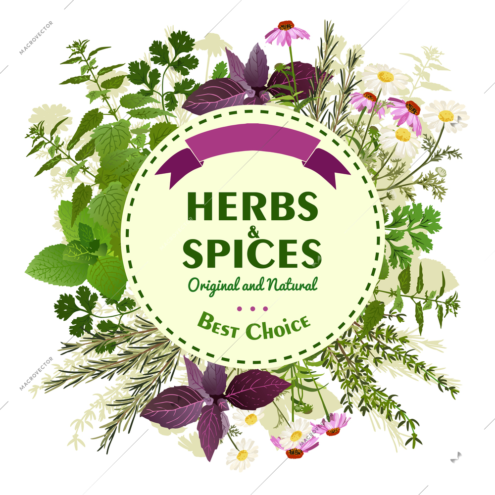 Organic emblem with herbs and spices and title on round background with ribbon vector illustration