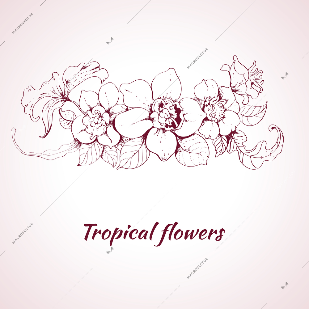 Tropical summer flower sketch decorative element on pale pink background vector illustration