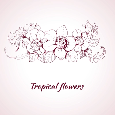 Tropical summer flower sketch decorative element on pale pink background vector illustration