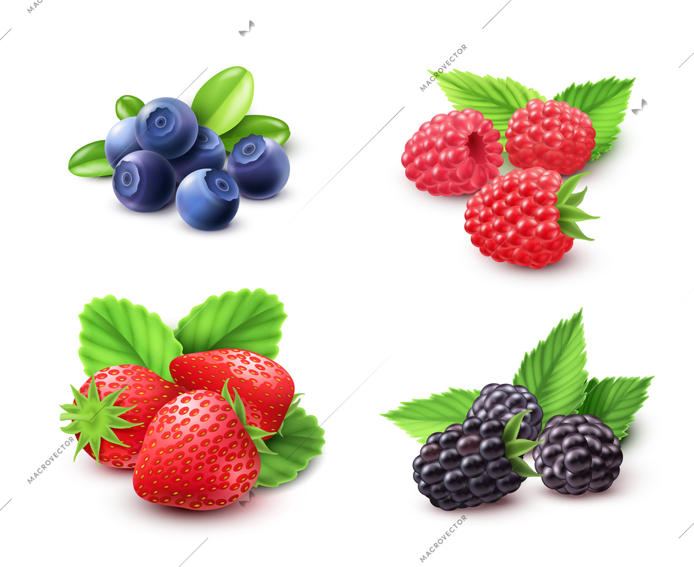 Berry realistic set with strawberry raspberry and blackberry isolated vector illustration