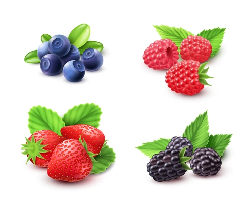 Berry realistic set with strawberry raspberry and blackberry isolated vector illustration