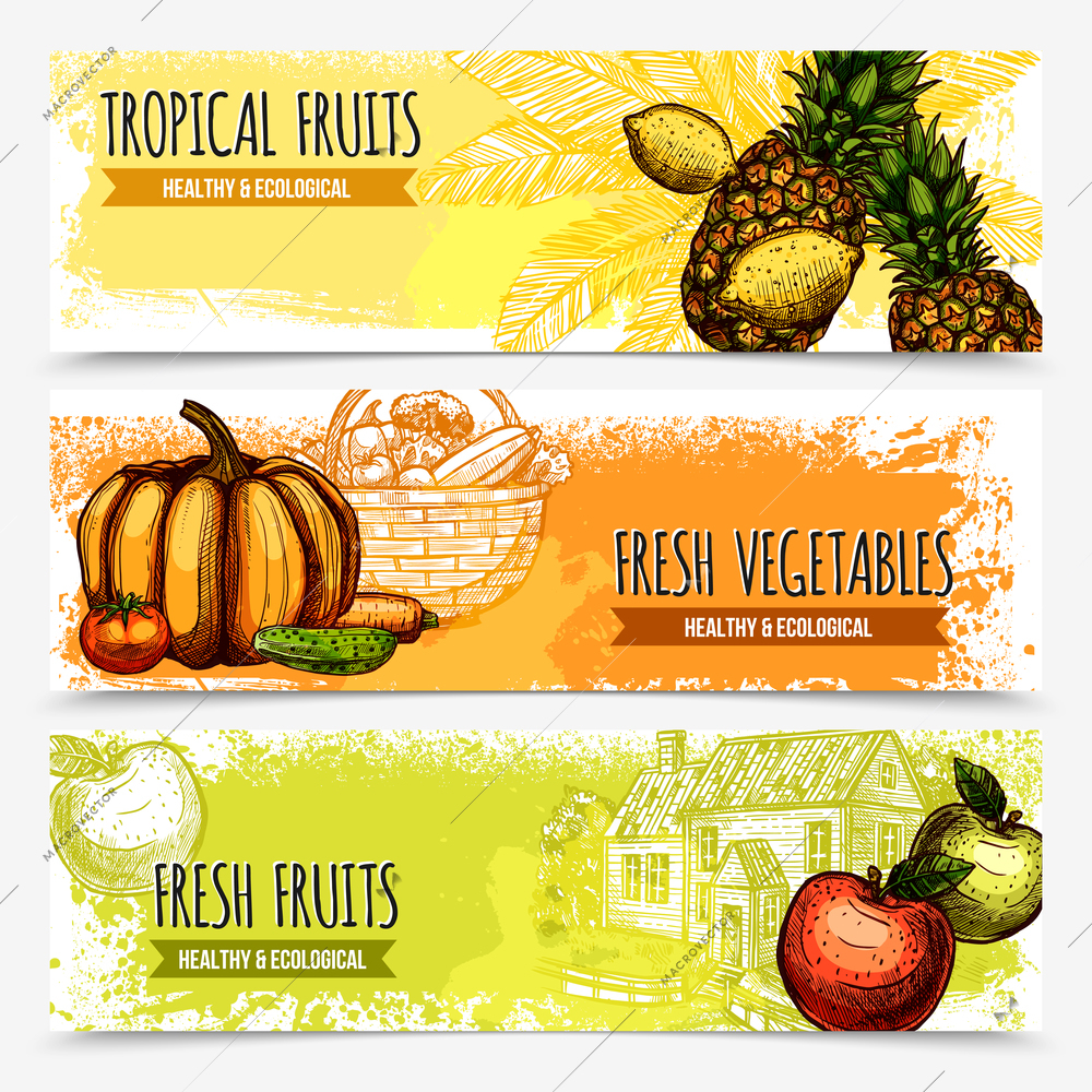 Vegetables and fruits horizontal banners with pineapple pumpkin and apple in sketch style vector illustration