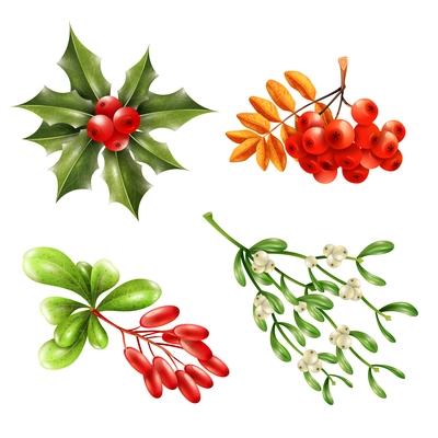 Flat christmas berries and branches set with mistletoe ashberry barberry isolated on white background vector illustration