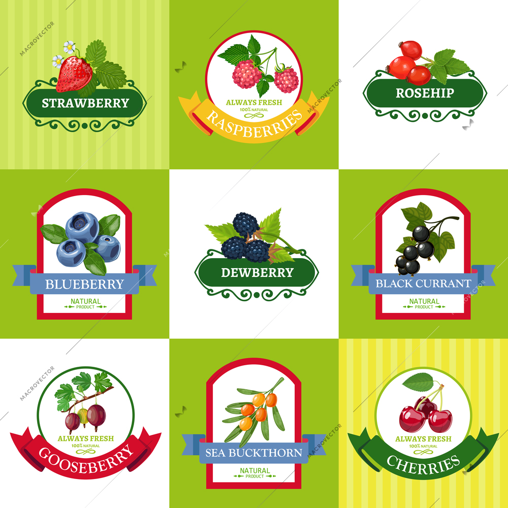 Wild and organically grown berries fresh berries labels flat icons collection for healthy diet isolated vector illustration