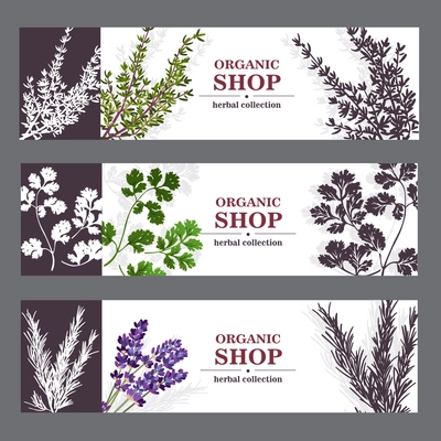 Herbal cards with herbal spices and fragrant lavender on sepia horizontal background vector illustration