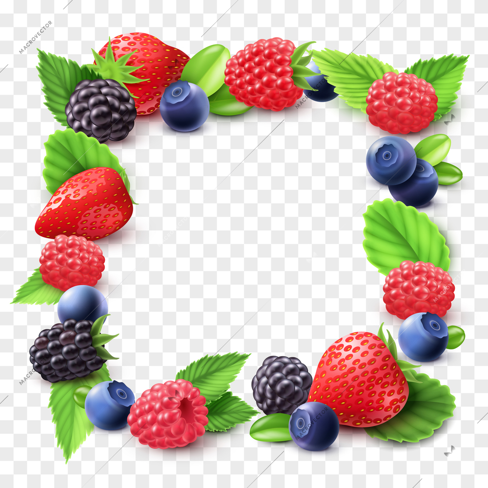 Berry frame with strawberry raspberry and blackberry transparent realistic vector illustration