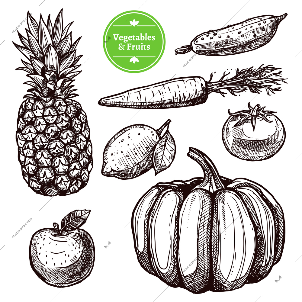 Vegetables and fruits set with pineapple pear tomato apple carrot cucumber and pumpkin isolated vector illustration