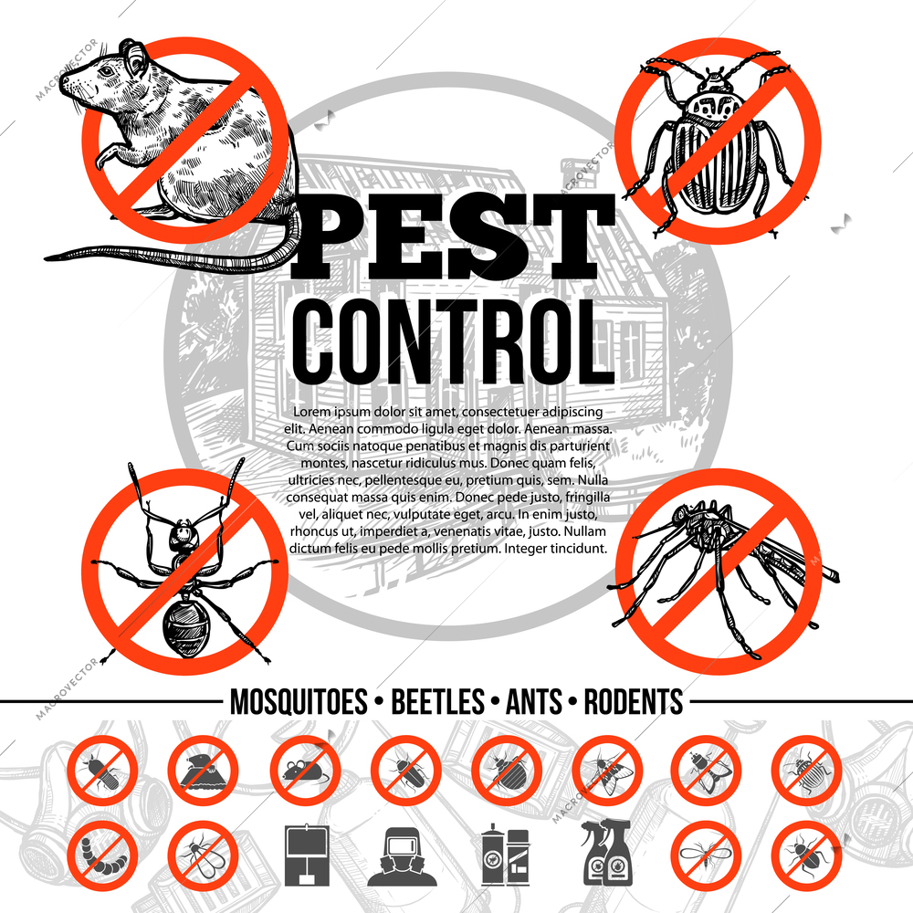 Pest control infographics with icons of insects rat and means of protection in sketch style isolated vector illustration