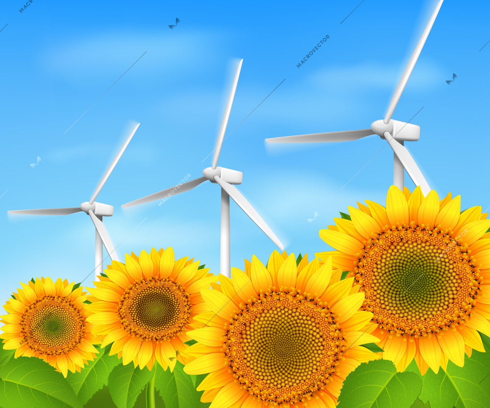 Green energy eco wind backgound with sunflowers and grass vector illustration