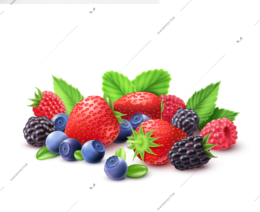 Berries realistic composition with strawberry raspberry blueberry and blackberry vector illustration