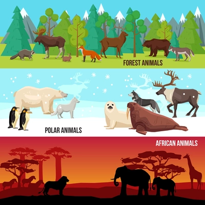 Flat horizontal banners set with forest polar and african animals on nature backgrounds isolated vector illustration