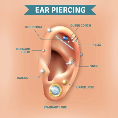 Top different types of ear piercing trendy positions picture infographic elements natural  background poster vector illustration