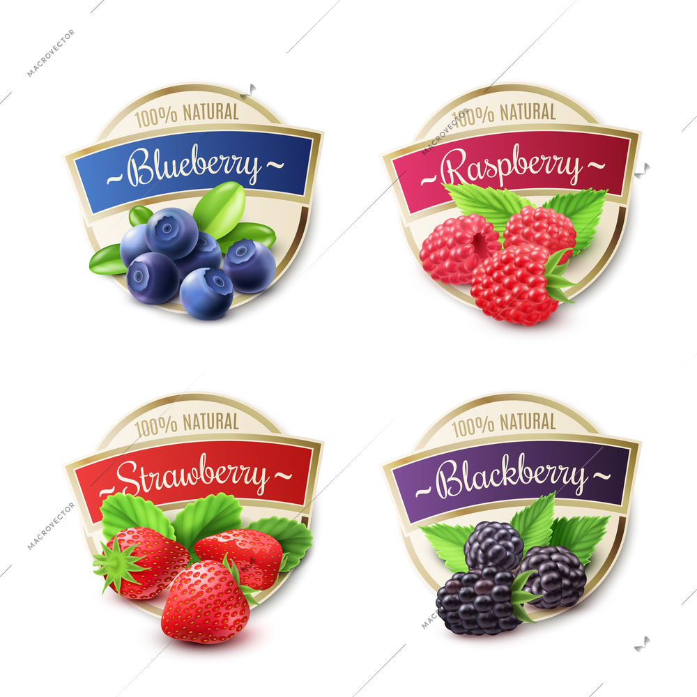 Berry labels realistic set with strawberry and blueberry isolated vector illustration