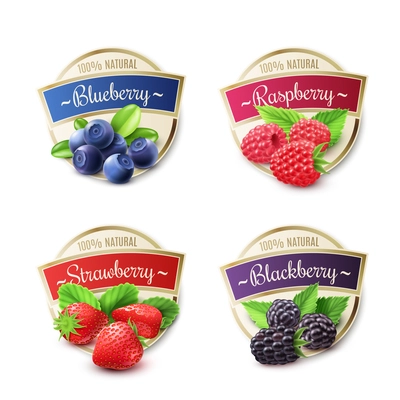 Berry labels realistic set with strawberry and blueberry isolated vector illustration
