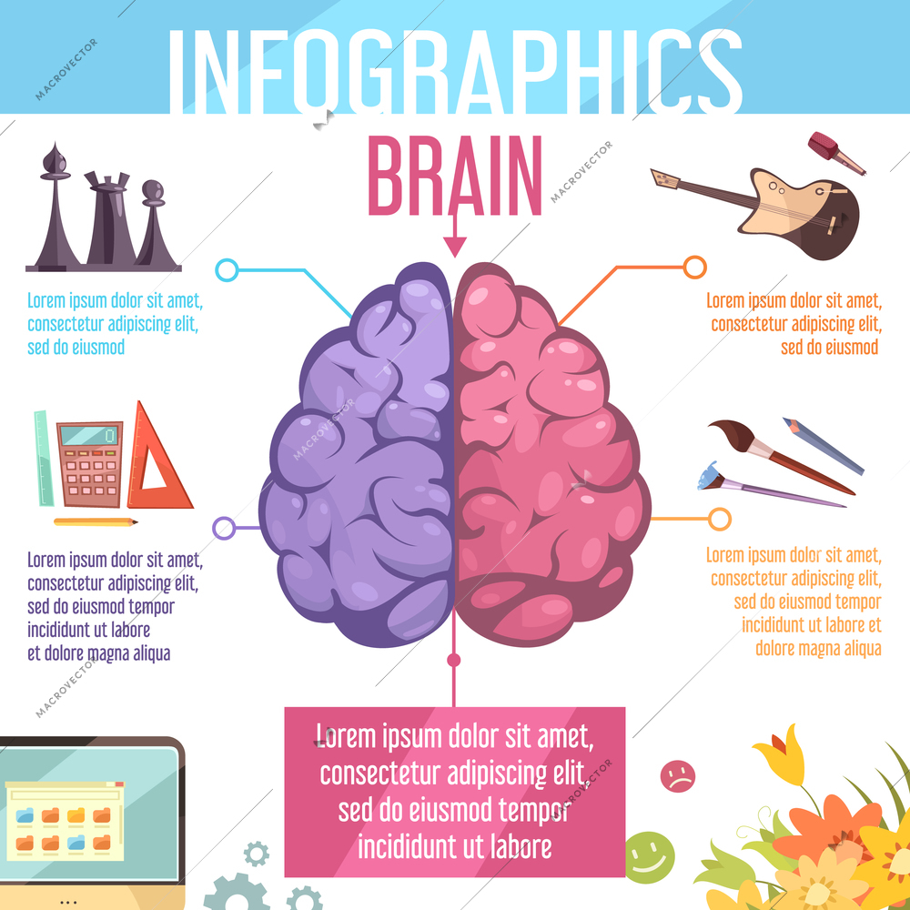 Human brain left and right cerebral hemispheres functions infographic retro cartoon education learning aid poster vector illustration