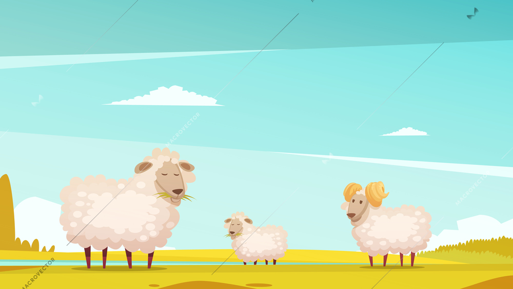 Domestic sheep breeding and raising farm pasture funny cartoon poster with grazing ram and lamb vector illustration