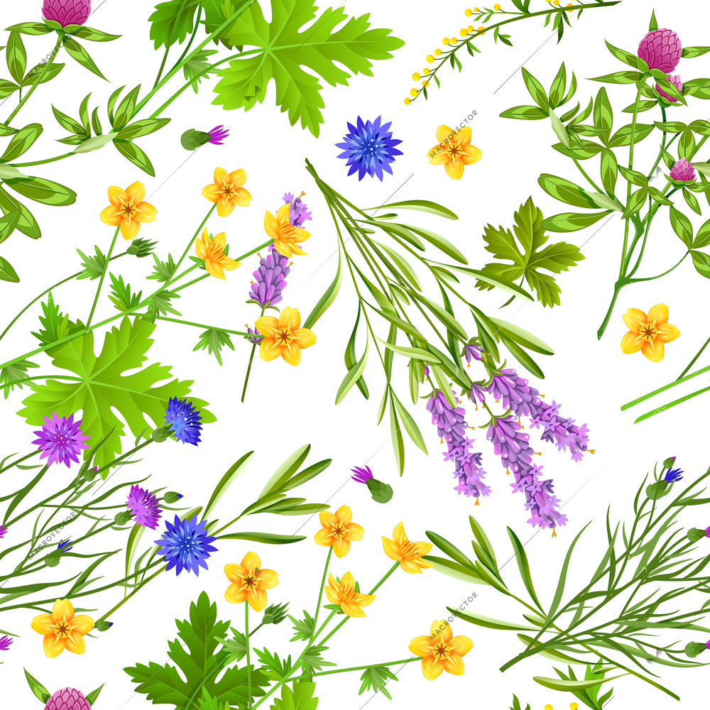 Flat seamless pattern with blooming herbs and wild flowers such as buttercup cornflower lavender and clover on white background vector illustration