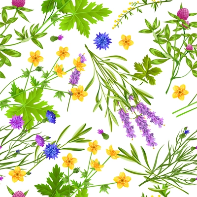 Flat seamless pattern with blooming herbs and wild flowers such as buttercup cornflower lavender and clover on white background vector illustration