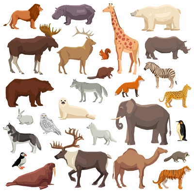 Big flat set of wild animals and birds living in various climatic zones isolated on white background vector illustration