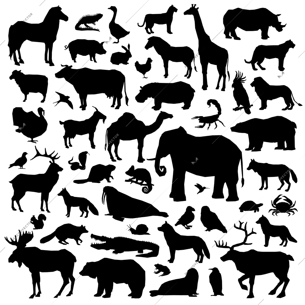 Wild and domestic animals and birds living in various climatic zones big black silhouette set isolated on white background vector illustration