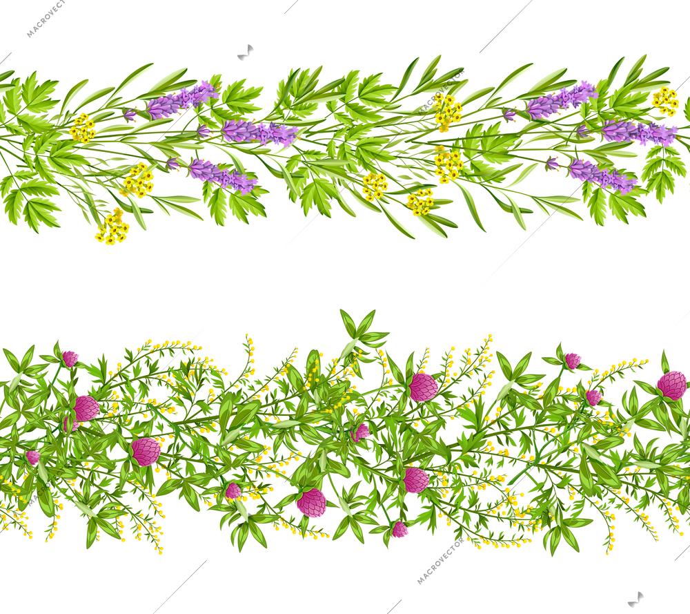 Horizontal blooming herbs and wild flowers border seamless pattern set isolated on white background flat vector illustration