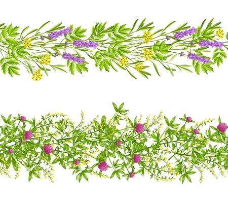 Horizontal blooming herbs and wild flowers border seamless pattern set isolated on white background flat vector illustration